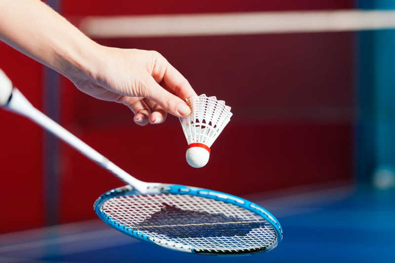 Comment choisir sa raquette de Badminton - Protennis