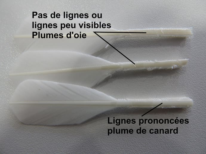 différences plume d'oie plume de canard volant badminton côté verso