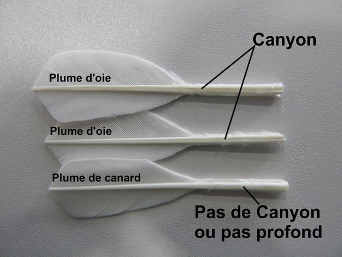 Plume d'oie ou de canard - Volant de badminton